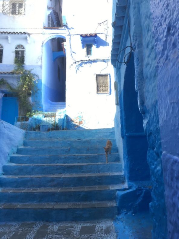 モロッコ,シャウエン,街歩き,観光,見所,世界一周
