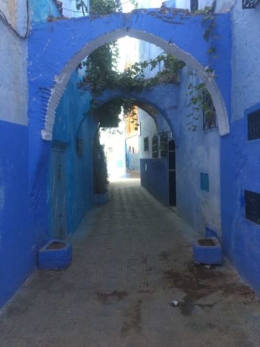 モロッコ,シャウエン,街歩き,観光,見所,世界一周,猫