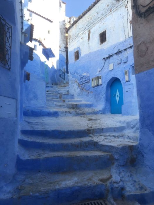 モロッコ,シャウエン,街歩き,観光,見所,世界一周,猫